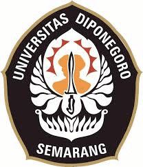 UNDIP